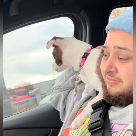 Meet your Posher, Myles - Picture 2 of 2